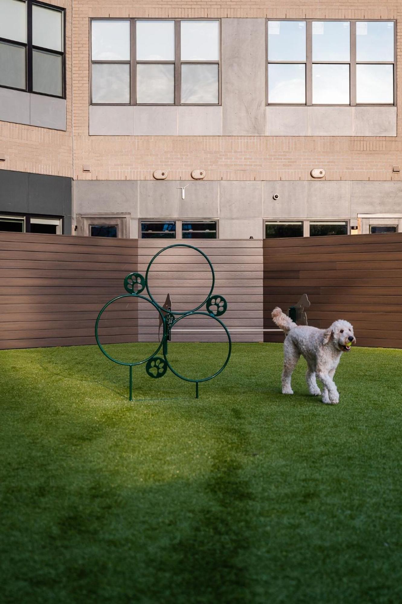 Luxury Apartments By Hyatus At Pierpont New Haven Zewnętrze zdjęcie